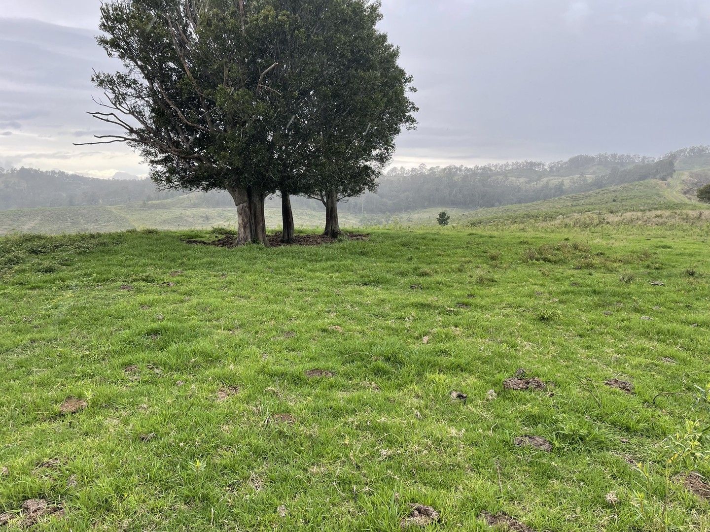 Lot 1 Ettrick Road, Kyogle NSW 2474 House for Sale 795,000