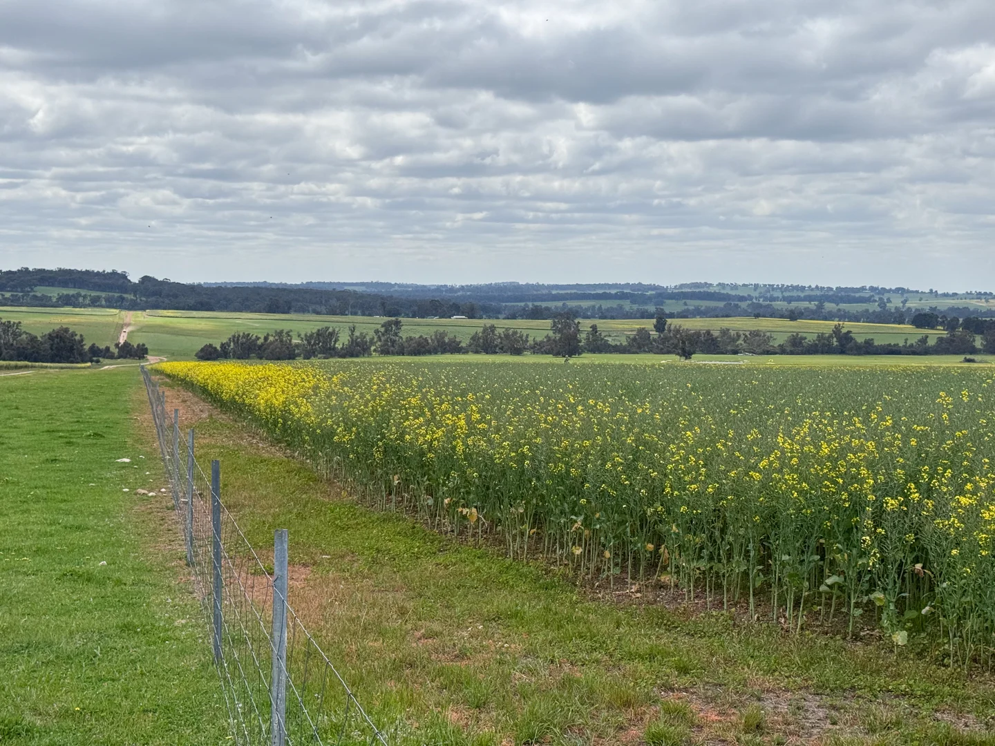 Image 26