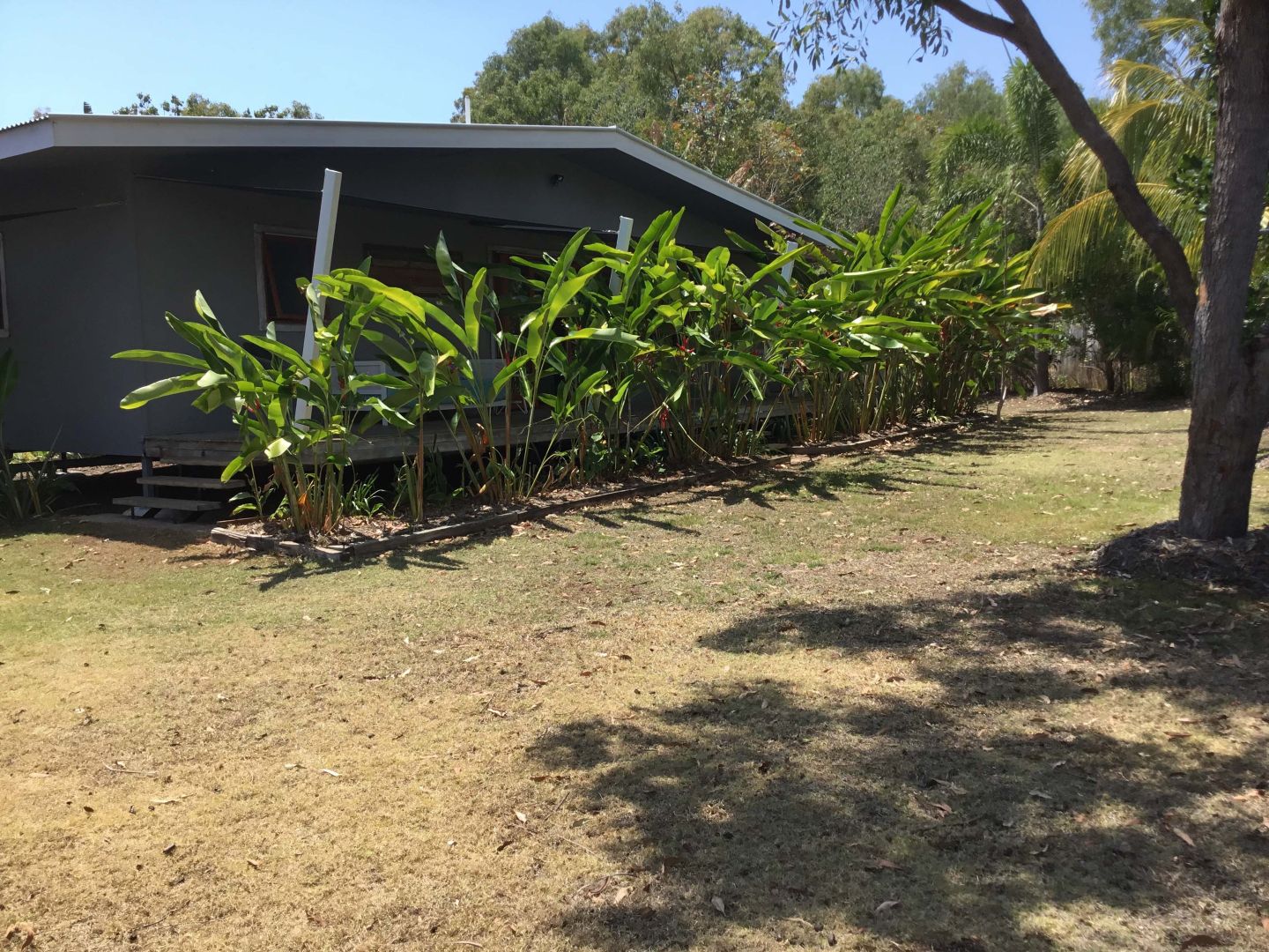 12 Wallaby Way, Horseshoe Bay QLD 4819 House For Rent Domain