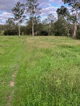 Image 30