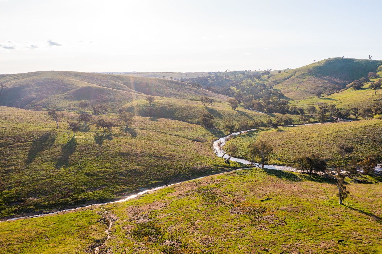 'Prospect' Sheridan Park Road, Boorowa NSW 2586, Image 0