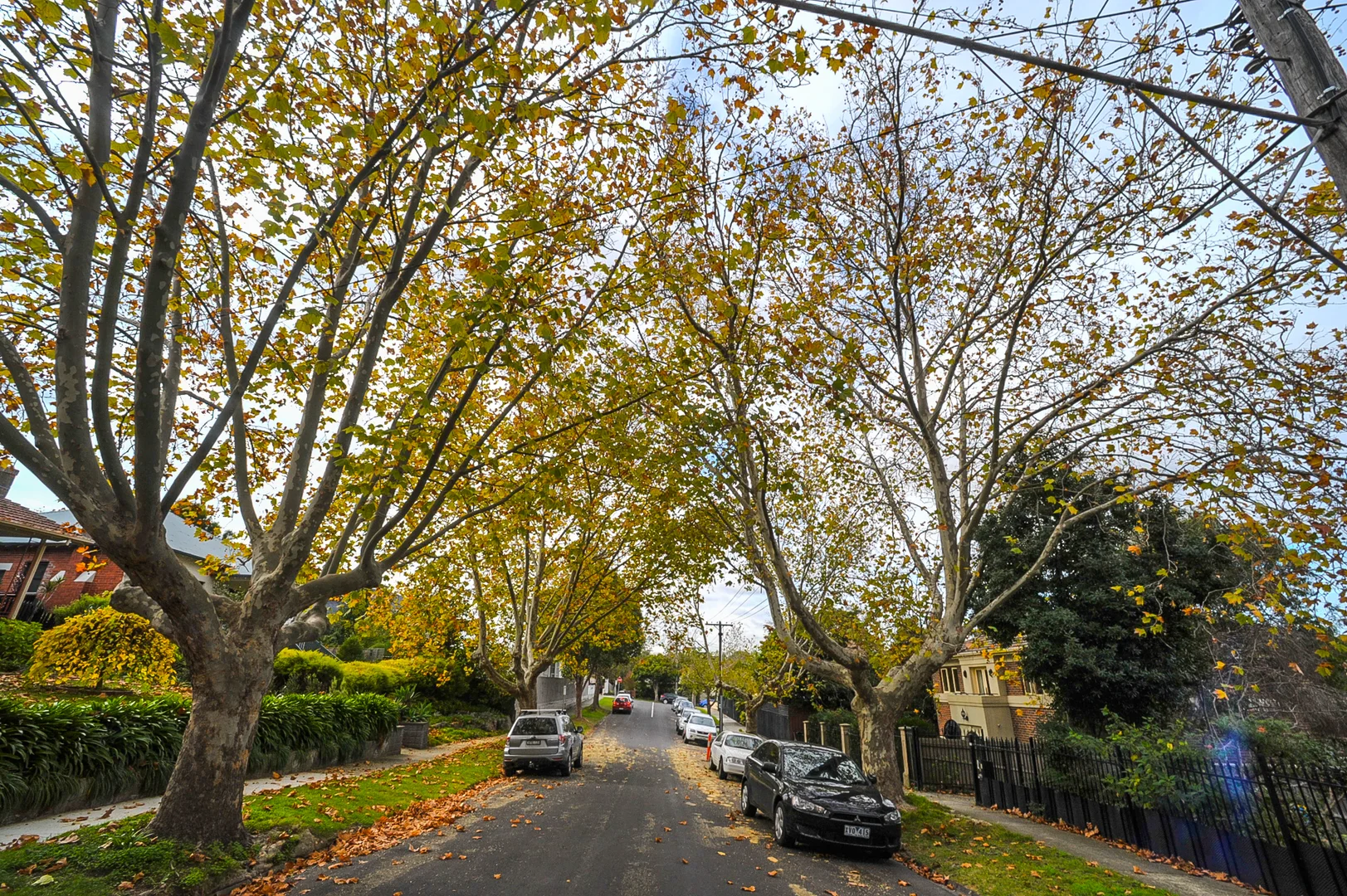 Additional image 10 of 1/19 Lodge Road, Camberwell VIC 3124