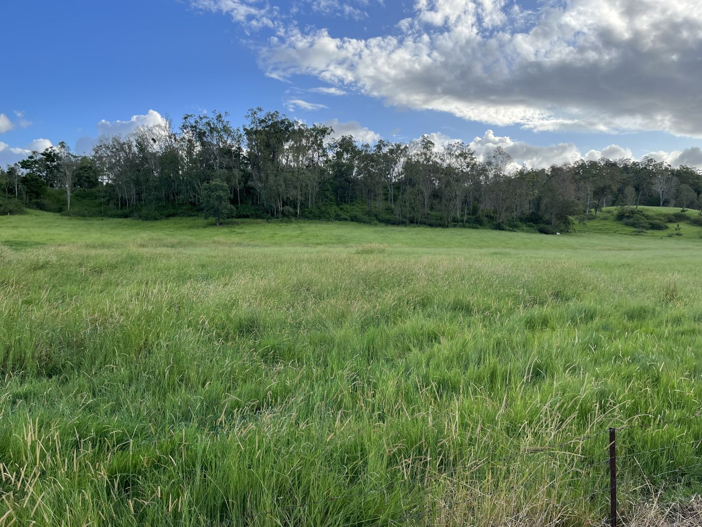 Lot 9 Mount Pollux Road, Gargett QLD 4741, Image 1