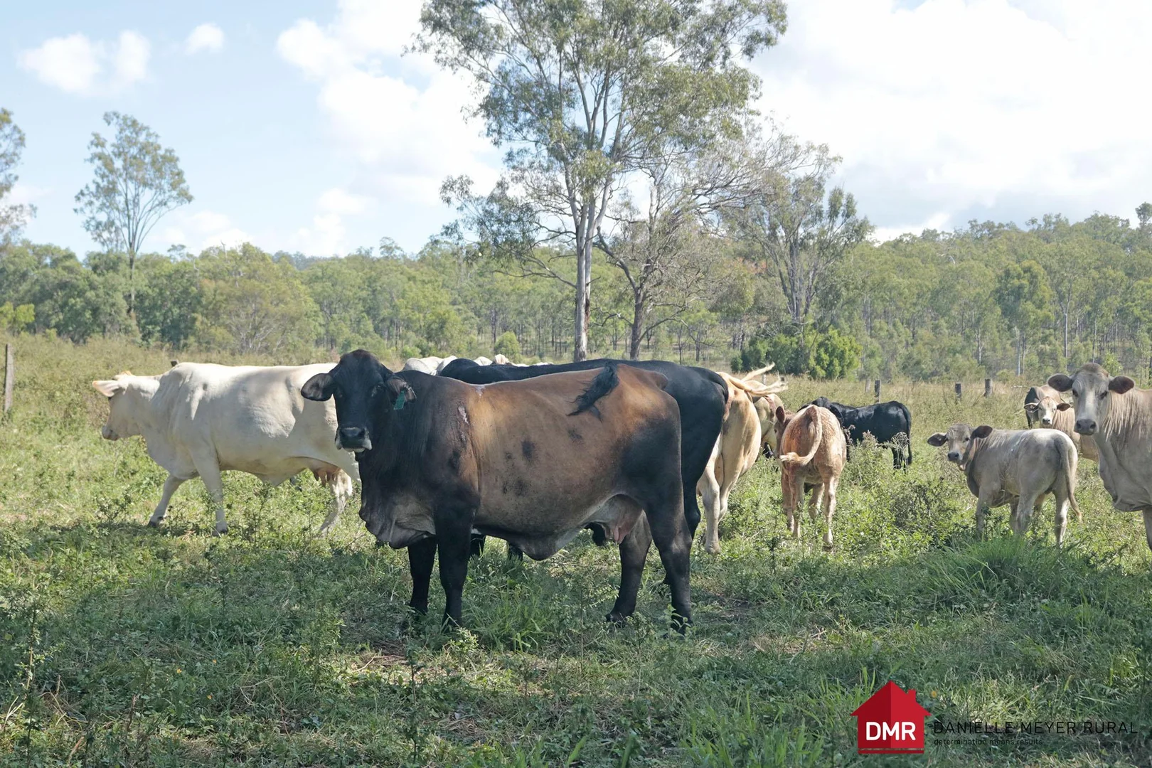 Additional image 27 of Eidsvold QLD 4627