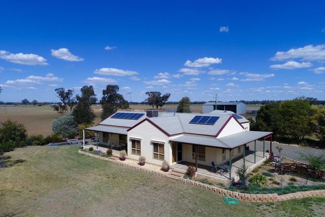 Picture of 91 Carrawobitty Lane, FORBES NSW 2871