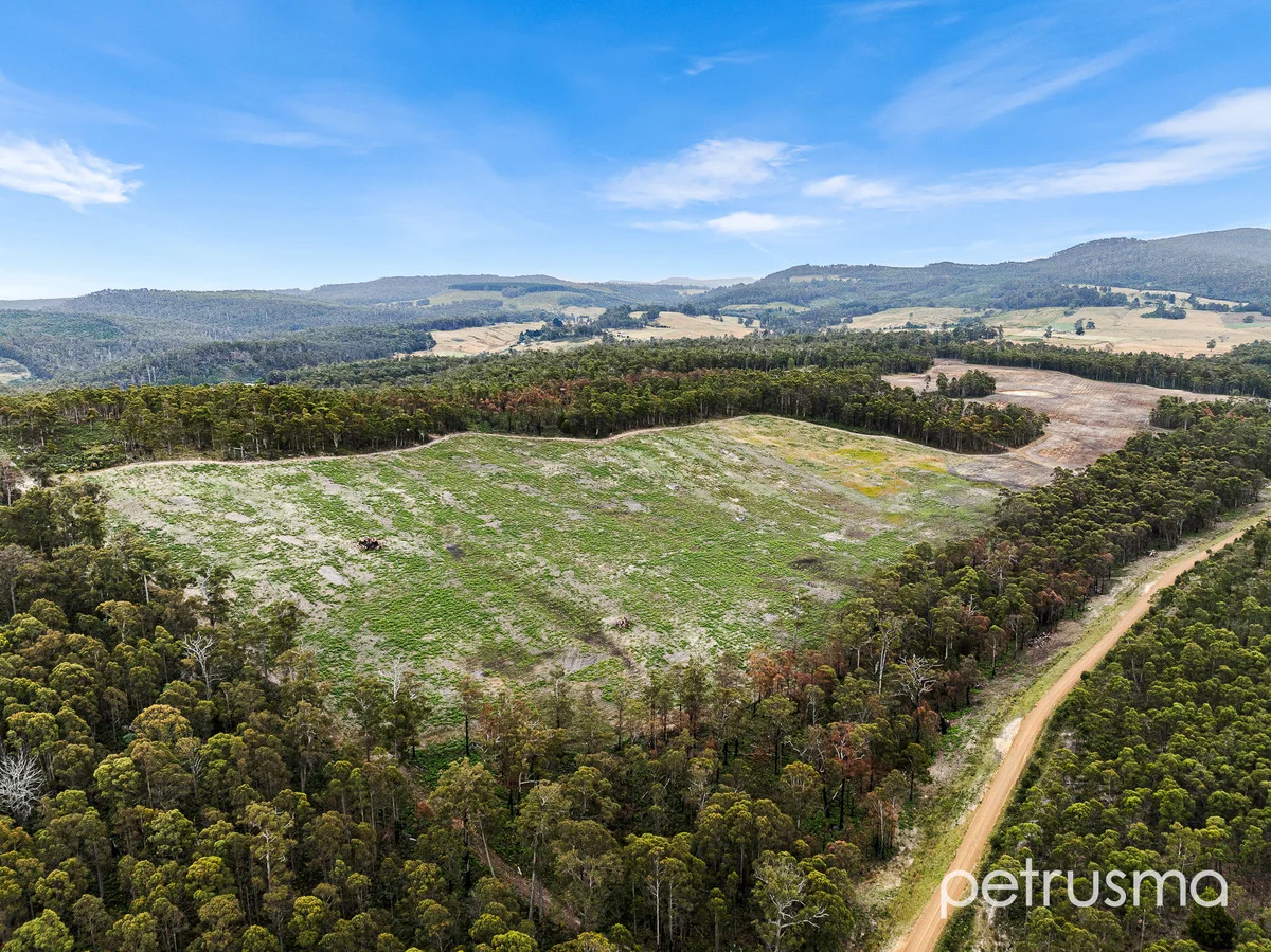 315 Levendale Back Road, Levendale TAS 7120