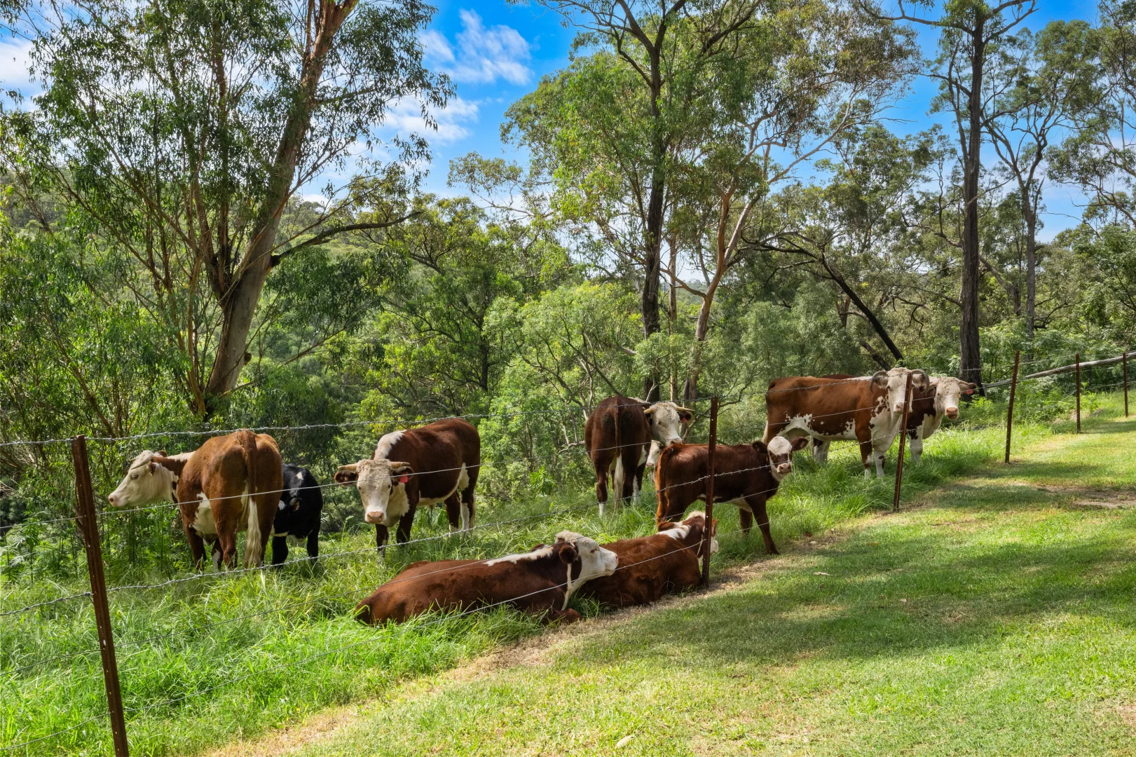 Additional image 33 of 895B East Kurrajong Road, East Kurrajong NSW 2758