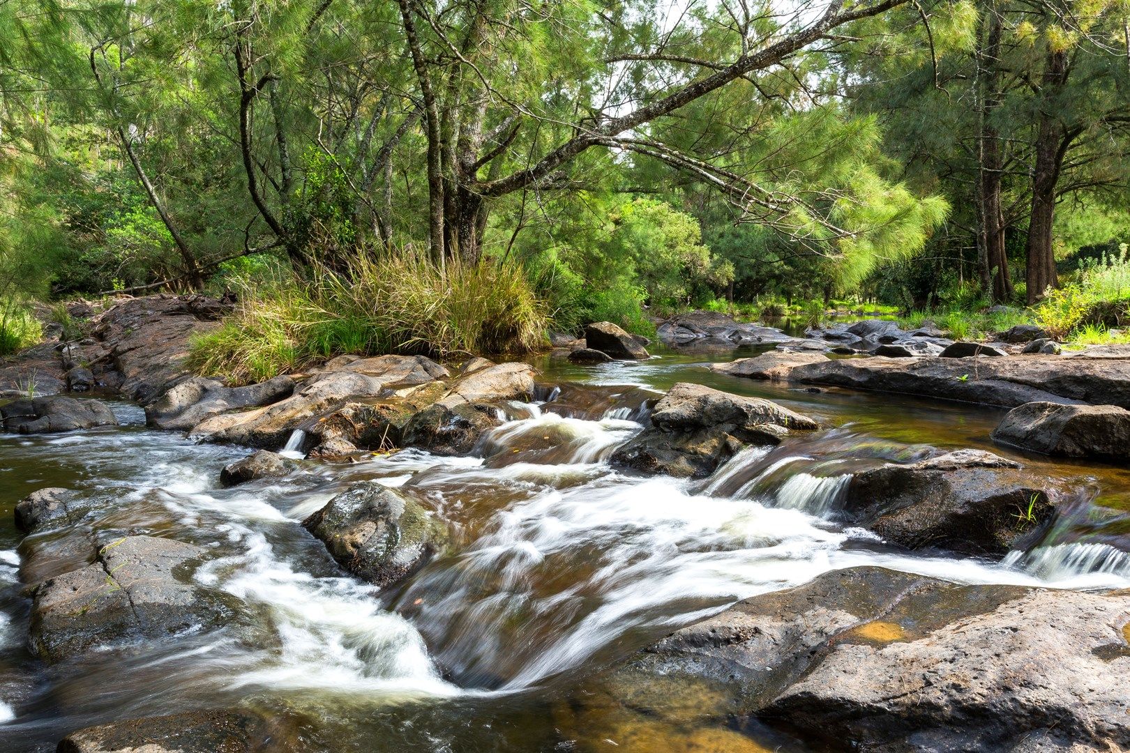 Lot 19 Nowendoc Road, Cooplacurripa NSW 2424, Image 0