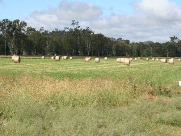 Picture of BOOUBYJAN QLD 4601