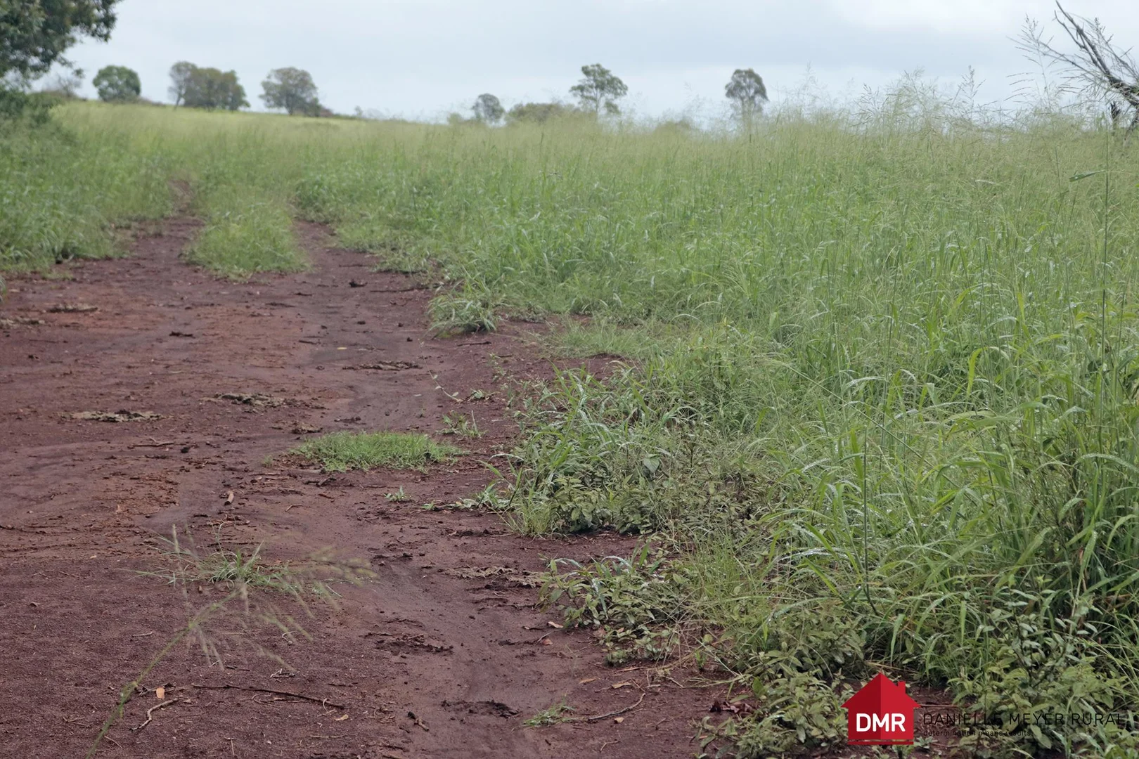 Additional image 19 of 271 McLaughlans Road, Monto QLD 4630