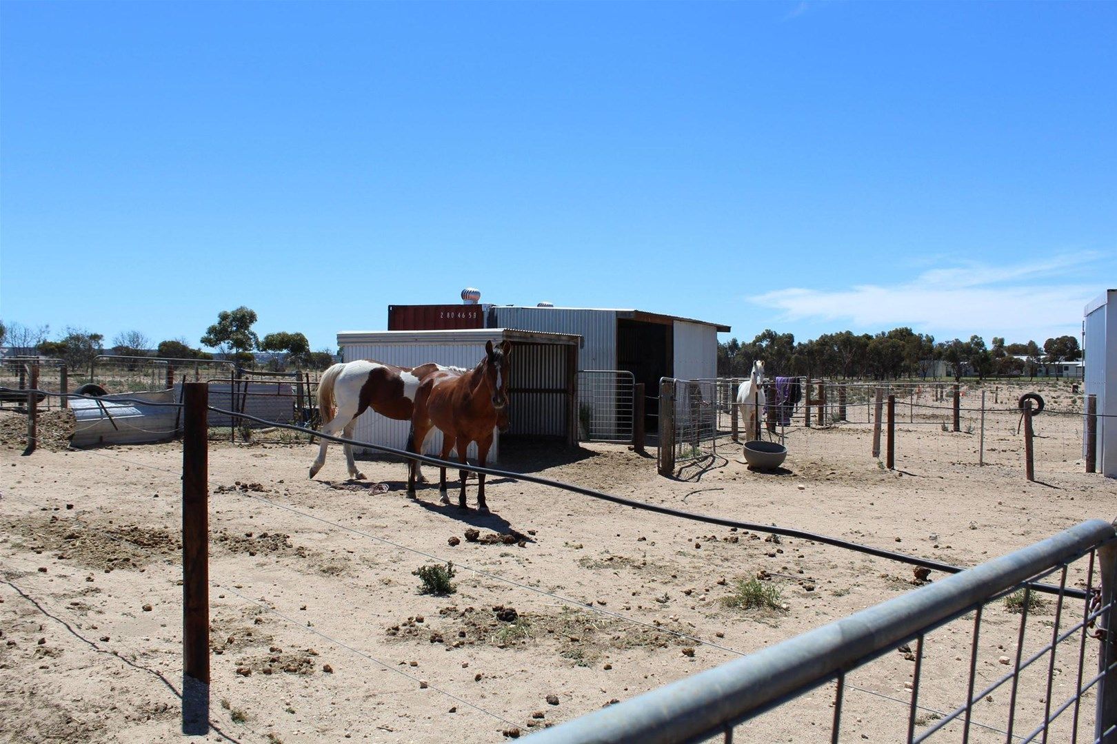 132 Martin Road, Murray Bridge Sout Property History & Address