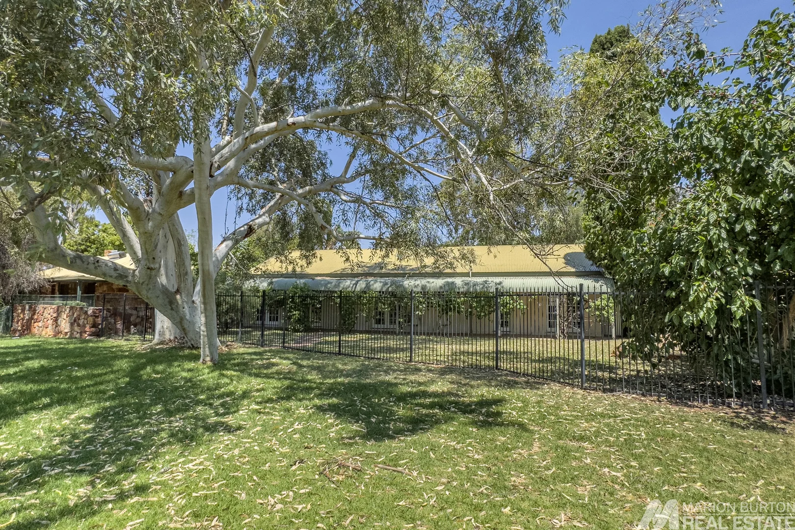 Image 6