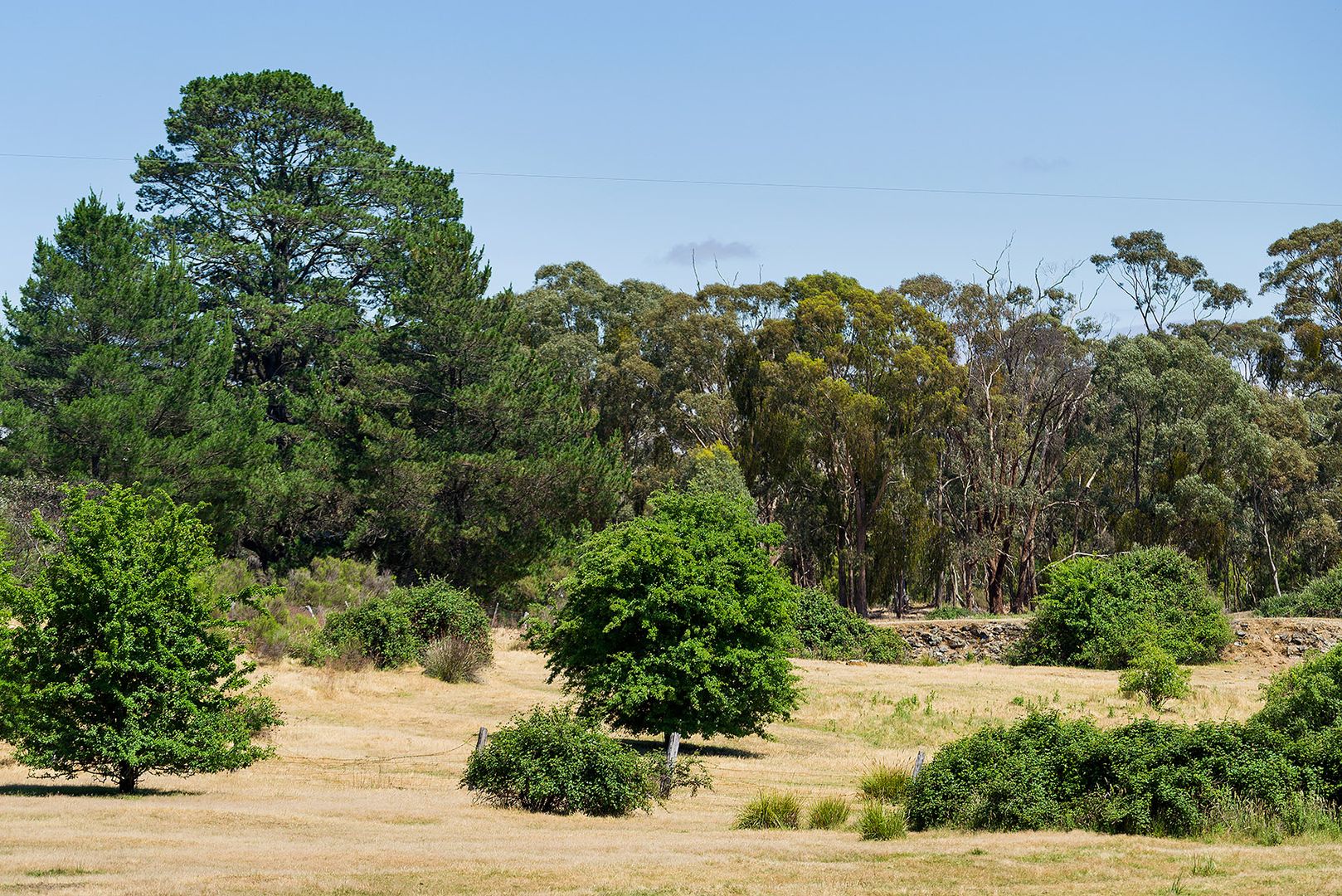 9 White Quartz Road, Fryerstown VIC 3451, Image 1