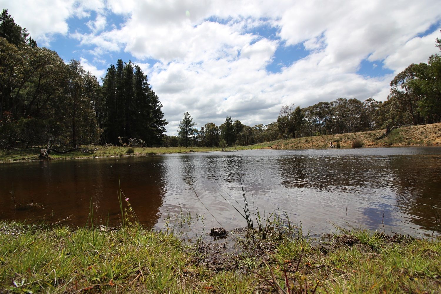 Lot 2 Pine Bank Drive, Tarago NSW 2580, Image 2