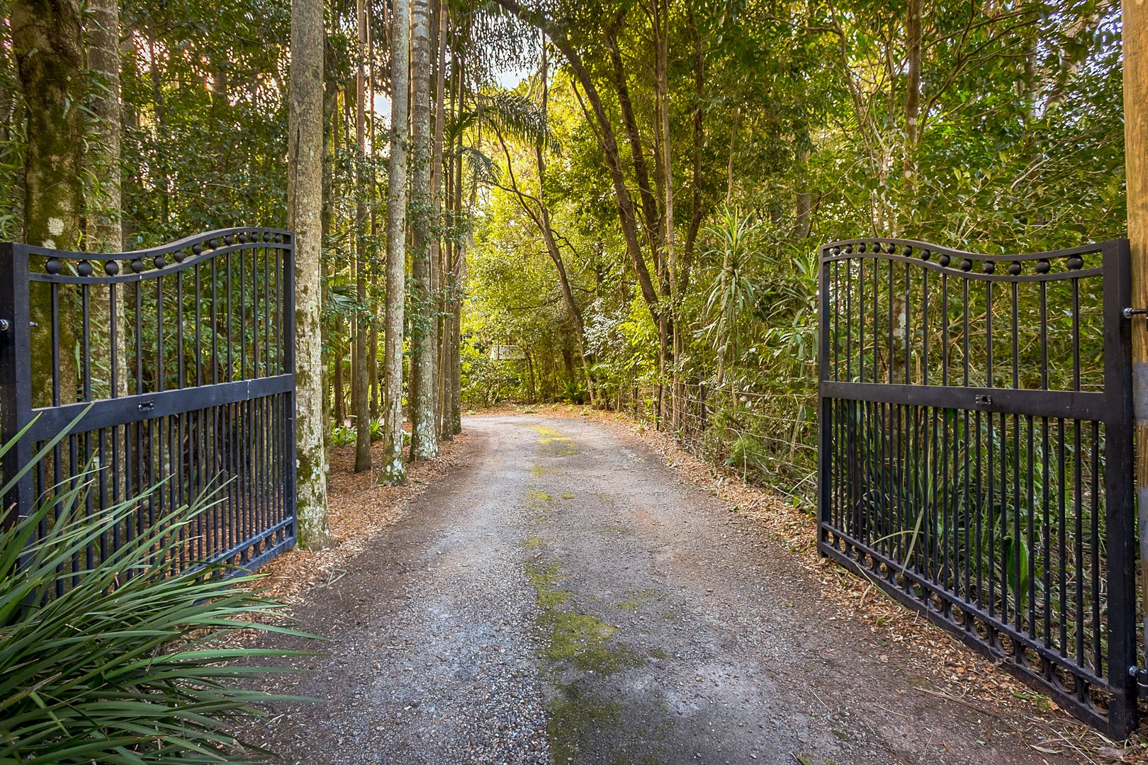 18-24 Prospect Street, Tamborine Mountain QLD 4272, Image 1