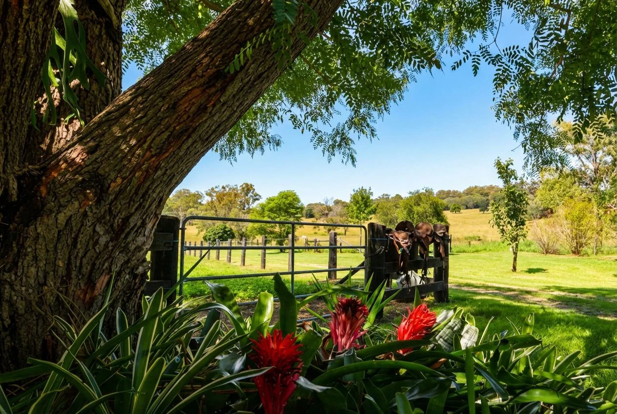 Additional image 24 of 103 Rural Road, Nanango QLD 4615