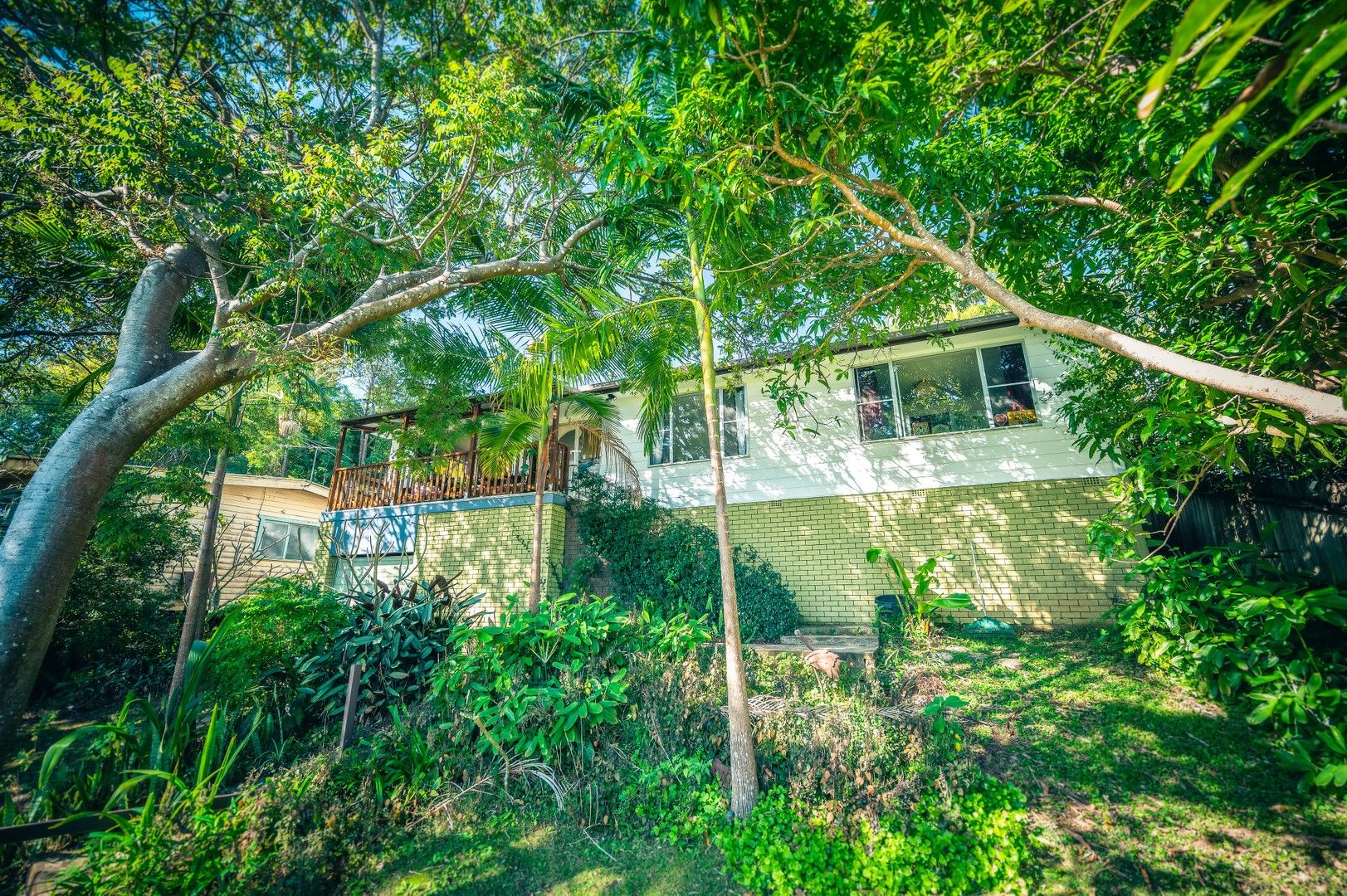 3 bedrooms House in 19 Lyon Street BELLINGEN NSW, 2454