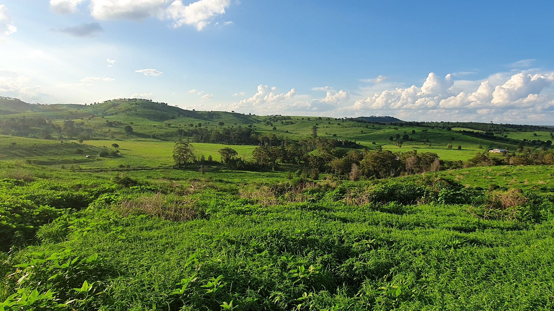 L1 Djuan Road, Haden QLD 4353, Image 0