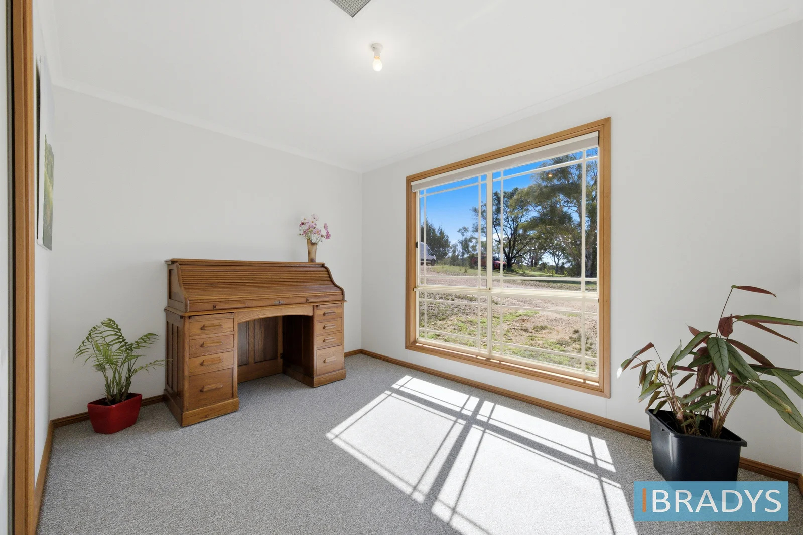 Additional image 14 of 255 Willow Glen Road, Lower Boro NSW 2580