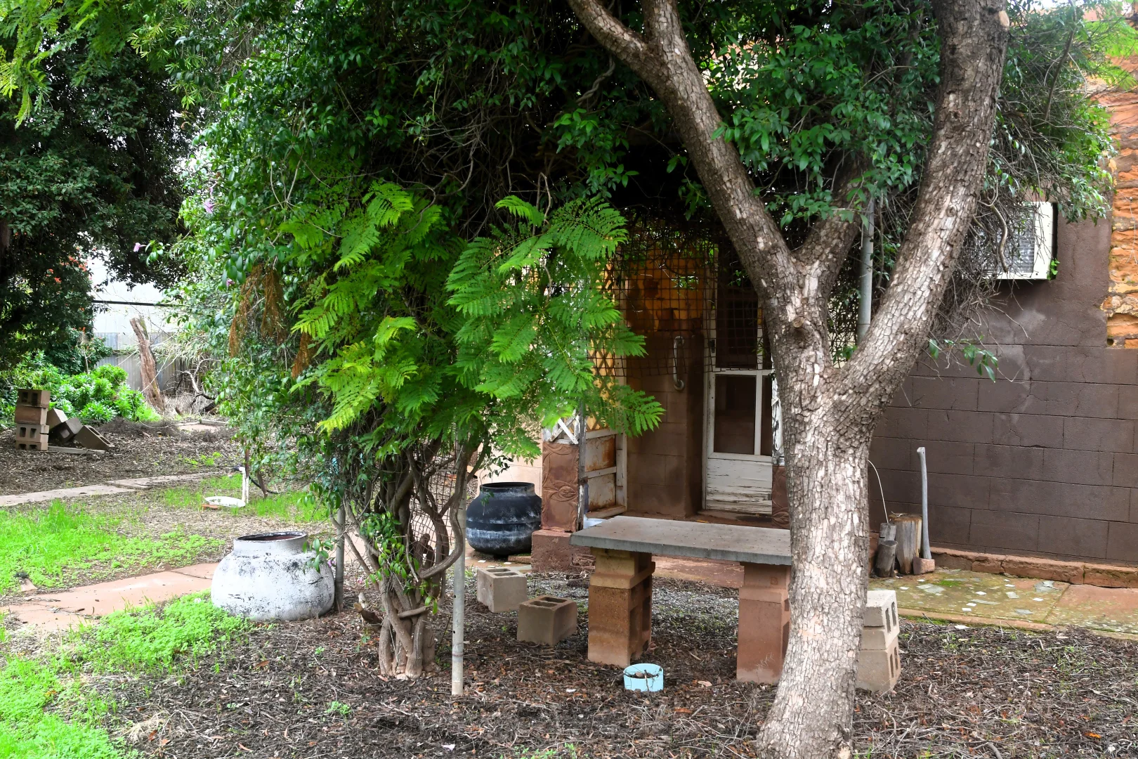 Image 20
