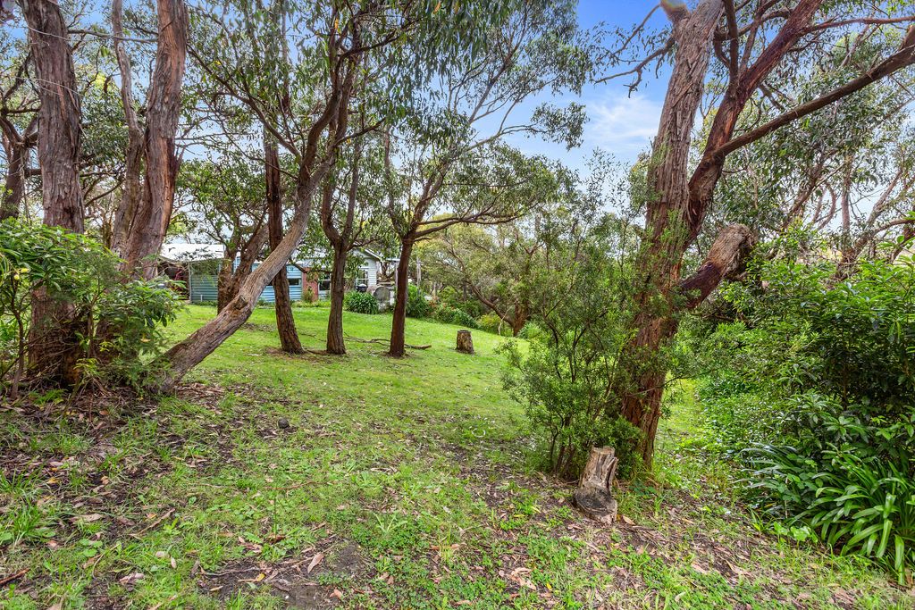 13 Old Coach Road, Skenes Creek VIC 3233, Image 2