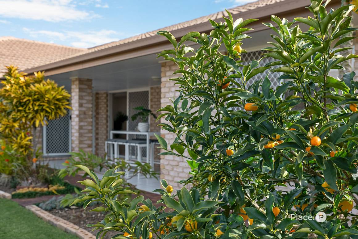 3 Violet Place Calamvale 4116 - Image 5