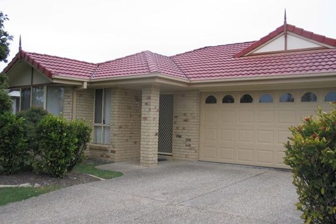 276 Rental Properties In Gold Coast Qld Domain