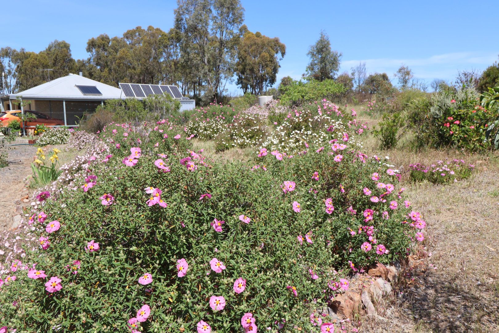 50 Pook Road, Redcastle VIC 3523, Image 1