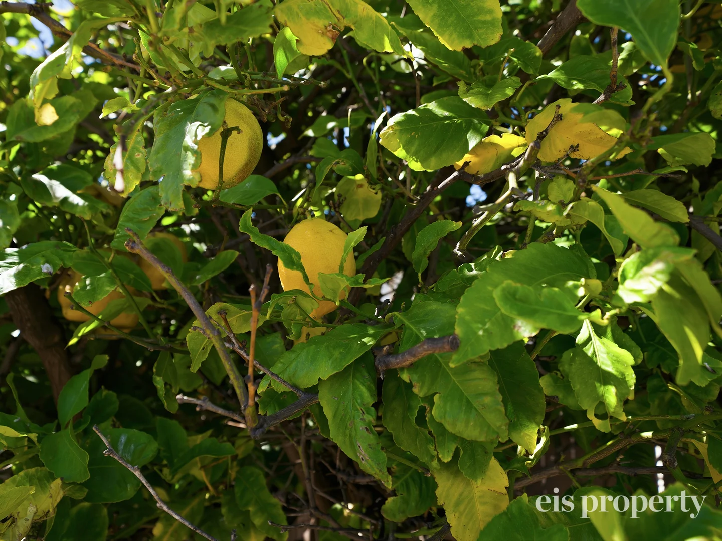 Additional image 17 of 7 Seamew Street, Claremont TAS 7011