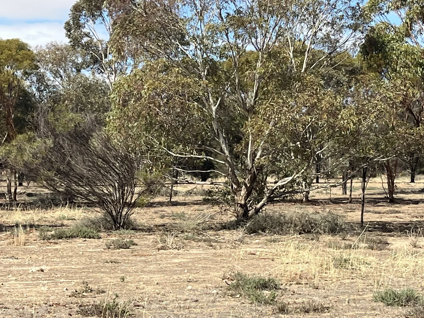 Image 17