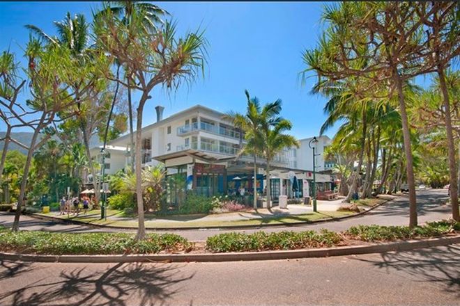 82 Rental Properties In Palm Cove Qld 4879 Domain
