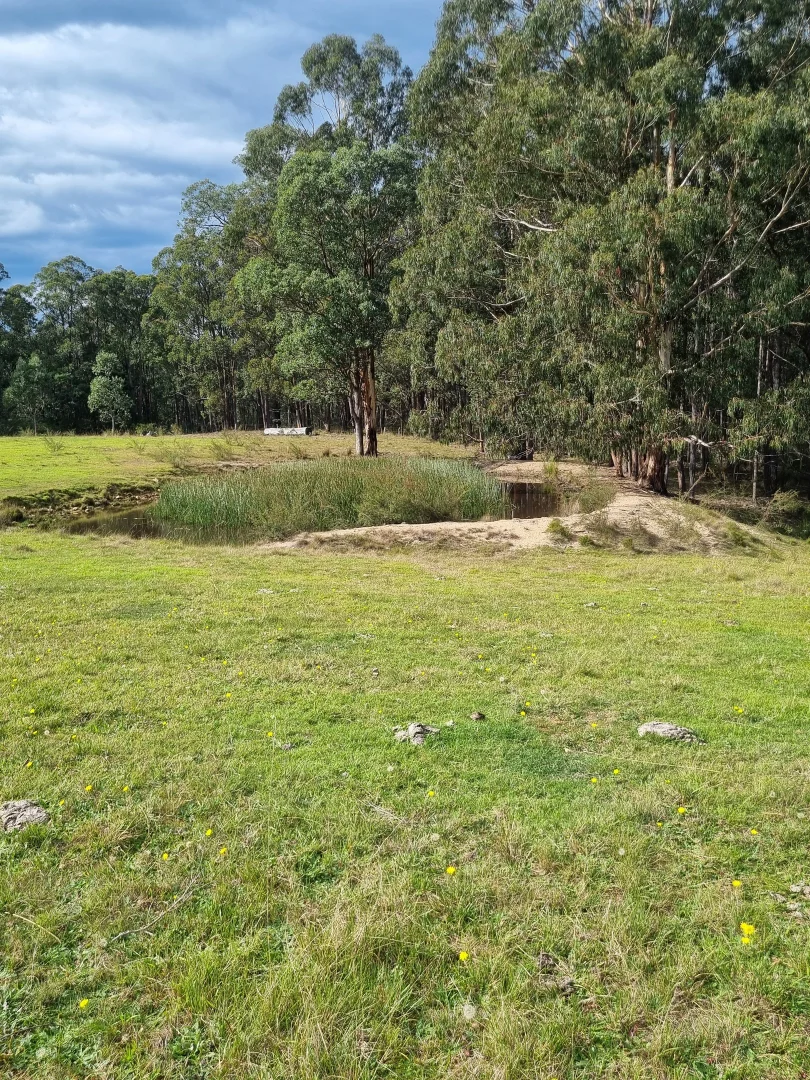 Image 25