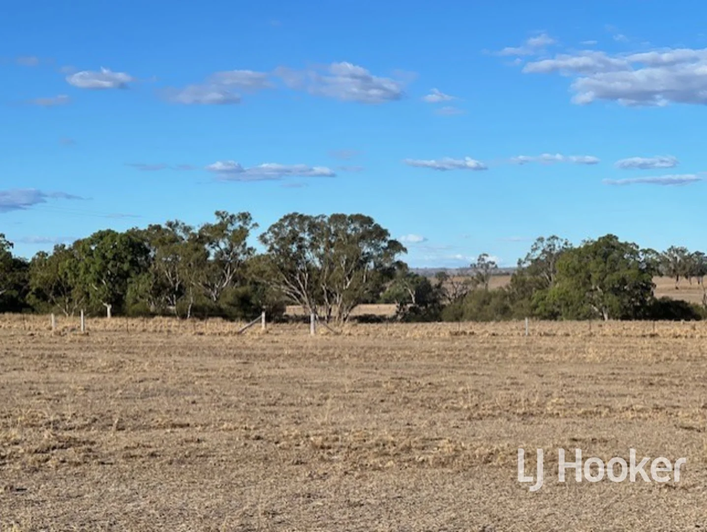 Additional image 19 of 296 Limestone Road, Inverell NSW 2360