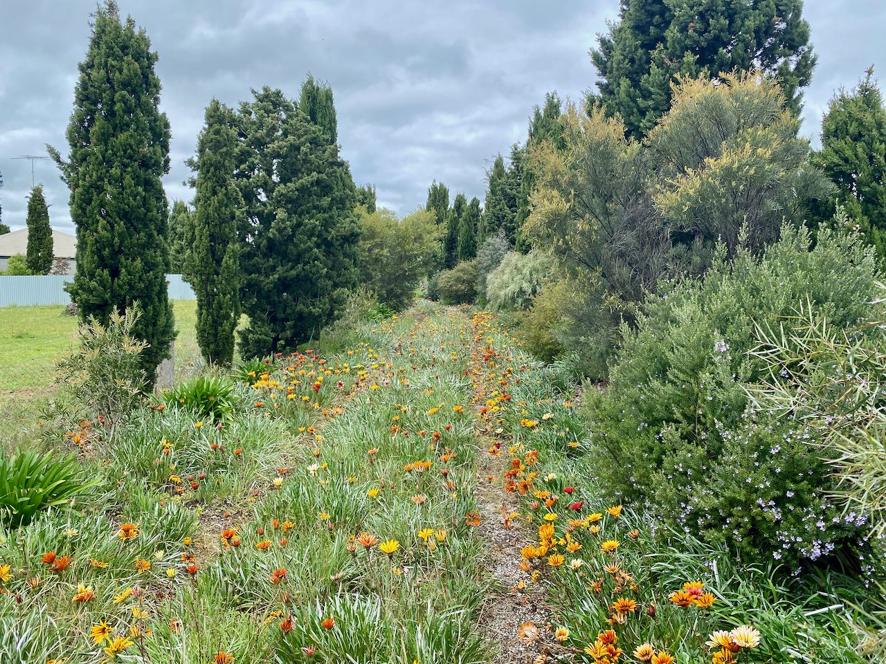 81 Mahers Road, Inverleigh VIC 3321 House for Sale Domain