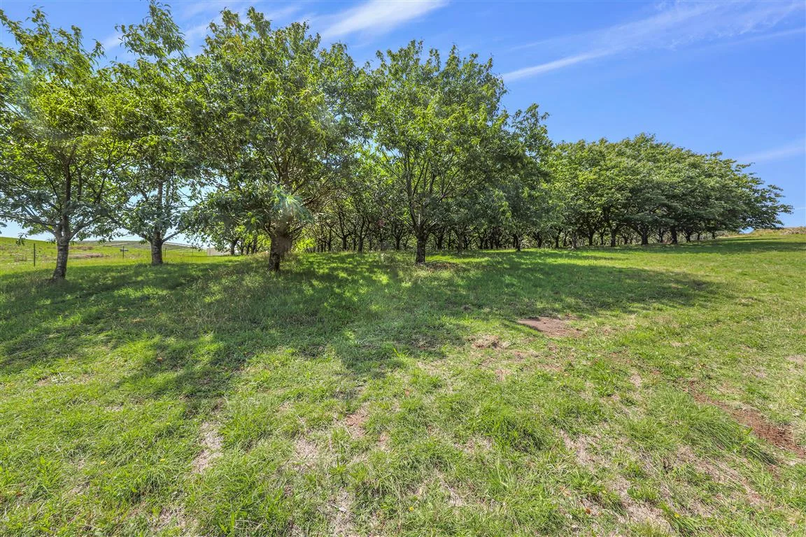 Additional image 10 of 3356 Batlow Road, Batlow NSW 2730