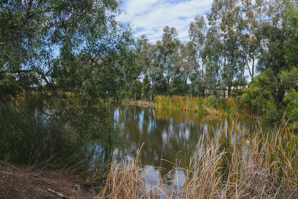 Goondiwindi QLD 4390, Image 1