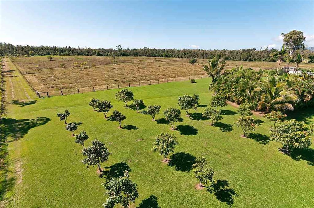 55786 Bruce Highway, Ellerbeck QLD 4816, Image 0