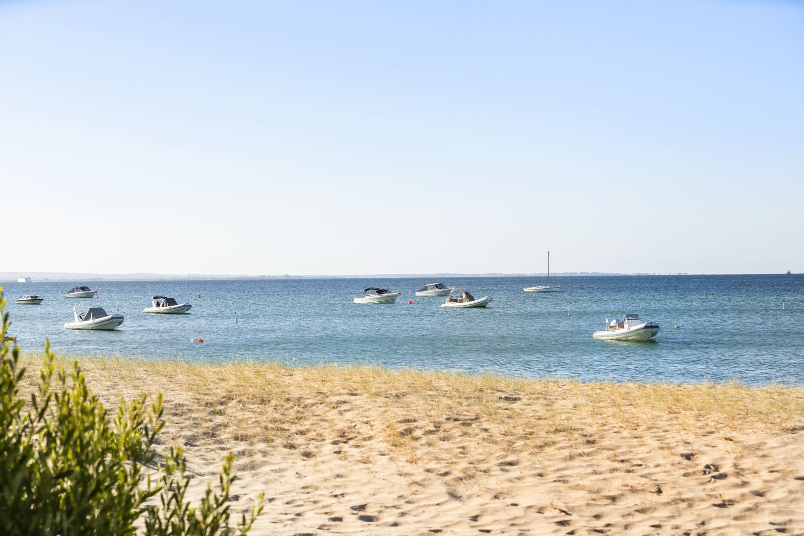 Beach Box 28 Shelley Beach, Portsea VIC 3944, Image 2