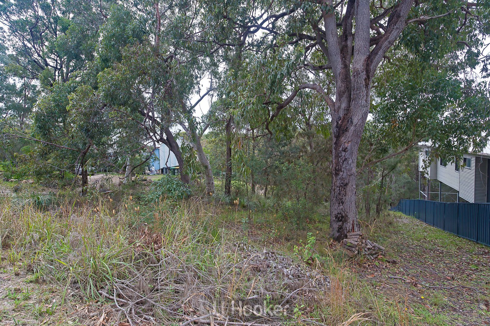137 Donnelly Road, Arcadia Vale NSW 2283, Image 2