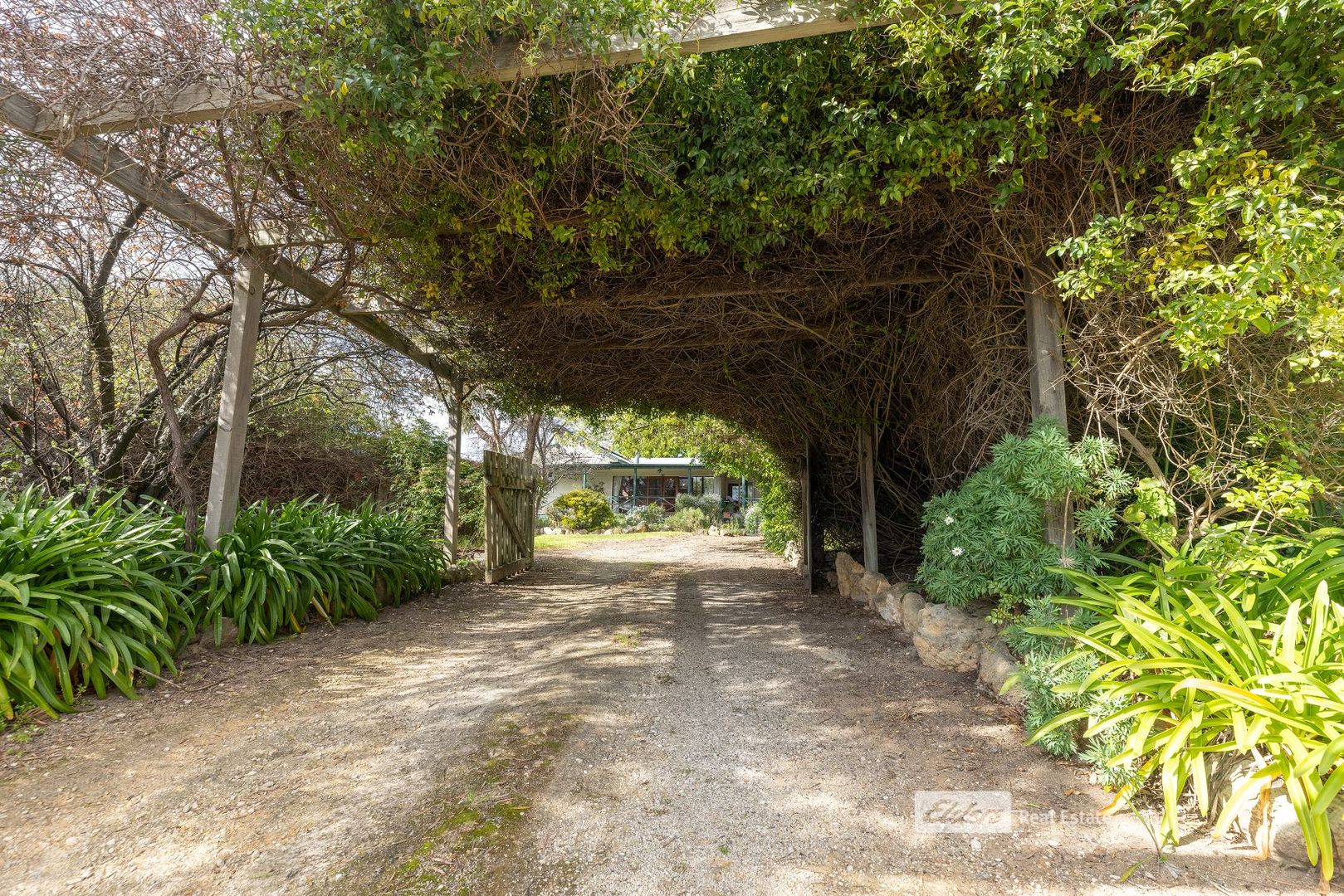 22 Third Avenue, Naracoorte SA 5271, Image 1