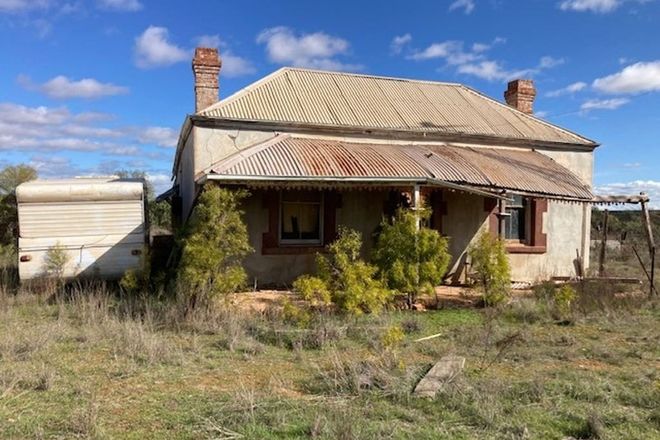 Picture of 3676 Willowie Road, MORCHARD SA 5431