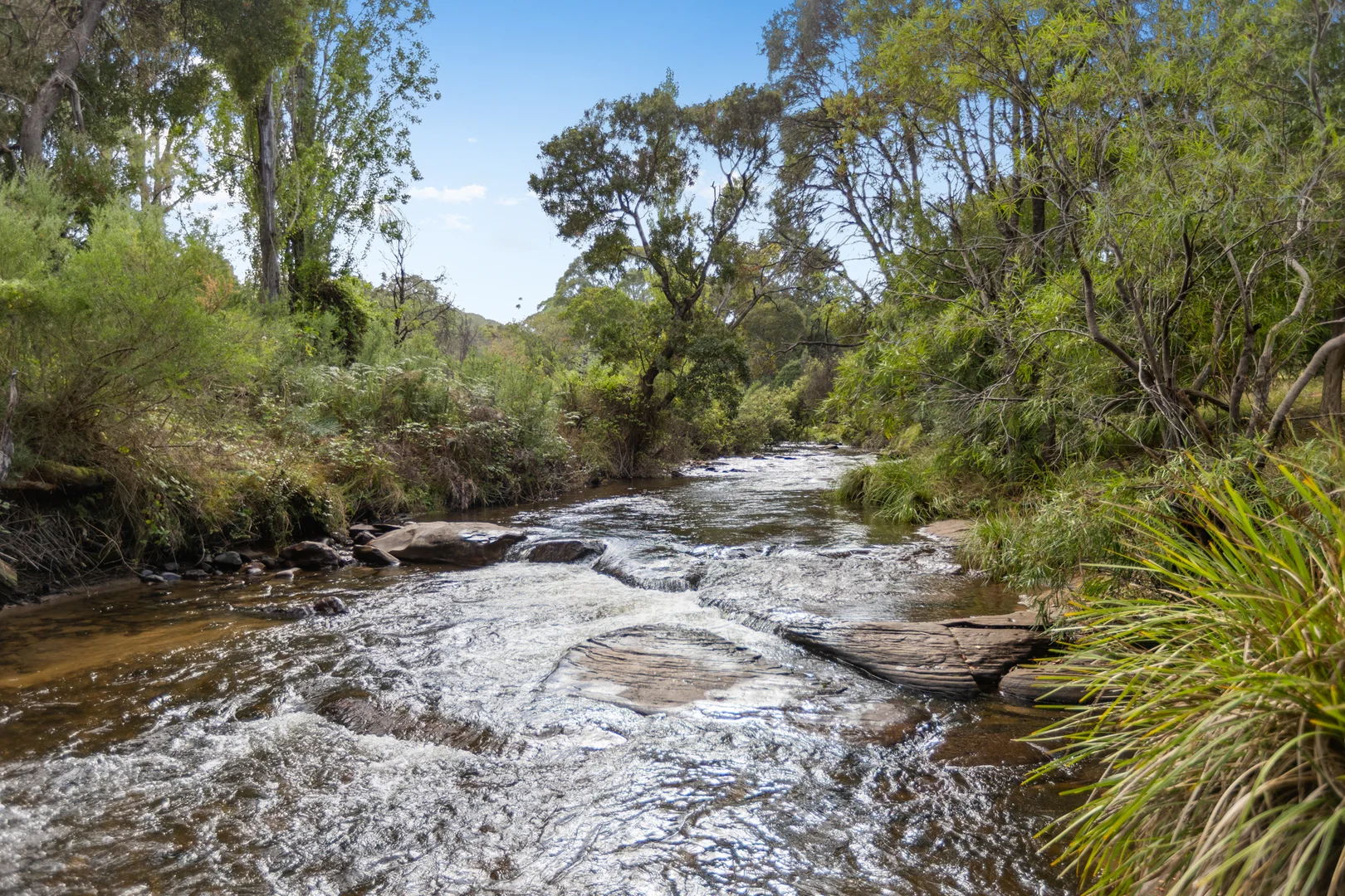 Additional image 6 of 2163 Mt Buller Road, Merrijig VIC 3723