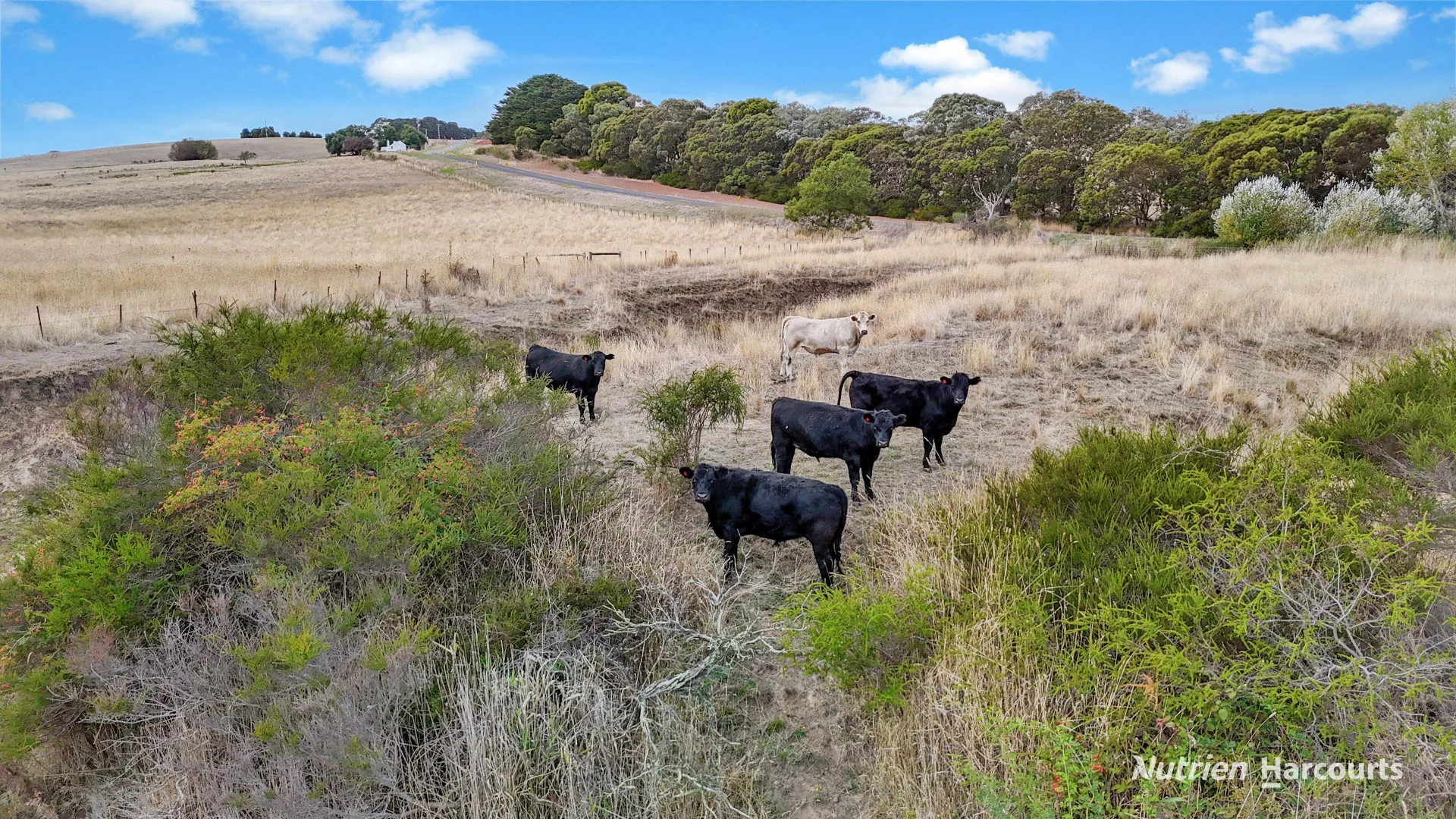 Additional image 17 of 1948 Nareen Road, Nareen VIC 3315