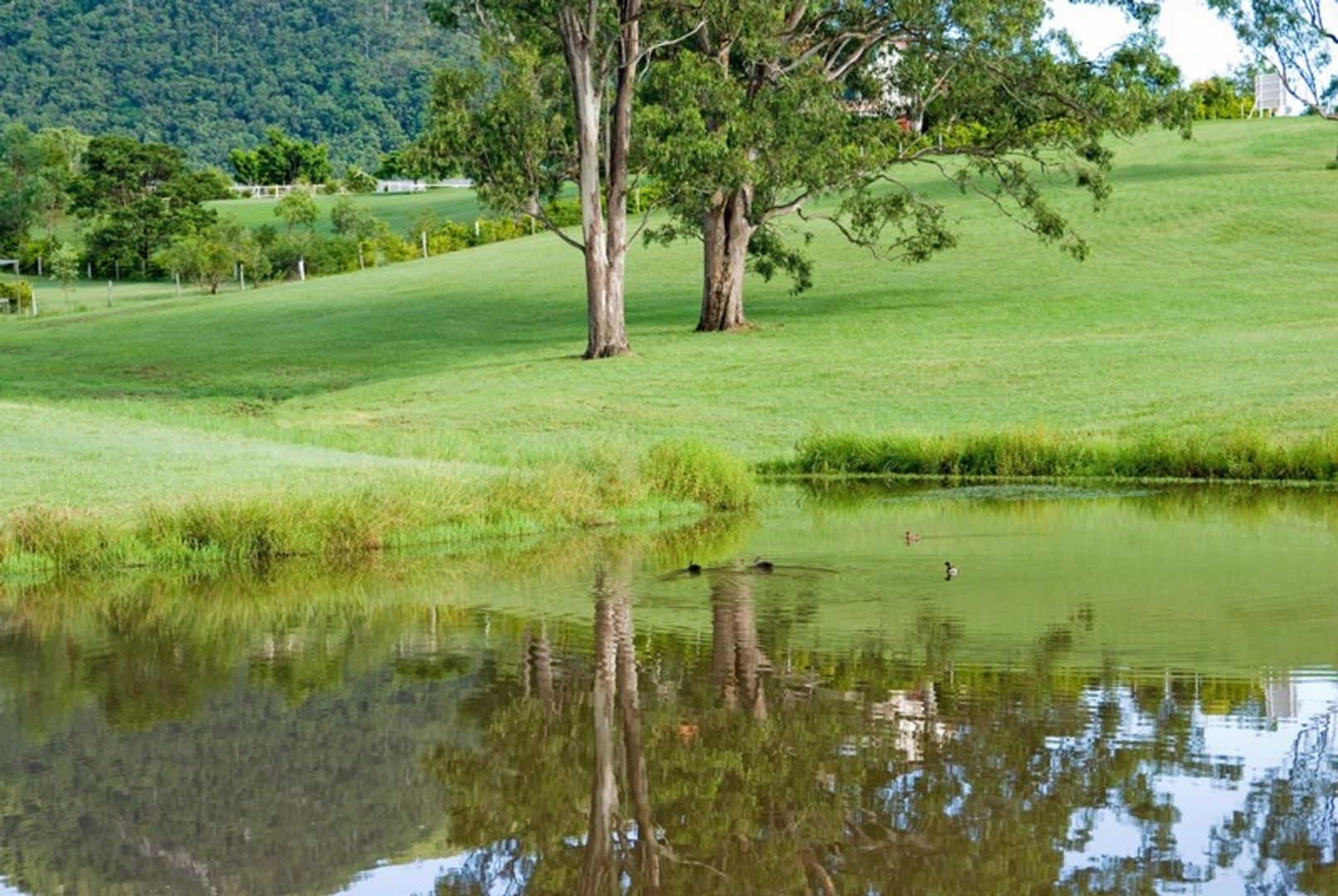 LOT 6 Haigh Crescent, Samford Valley QLD 4520, Image 0