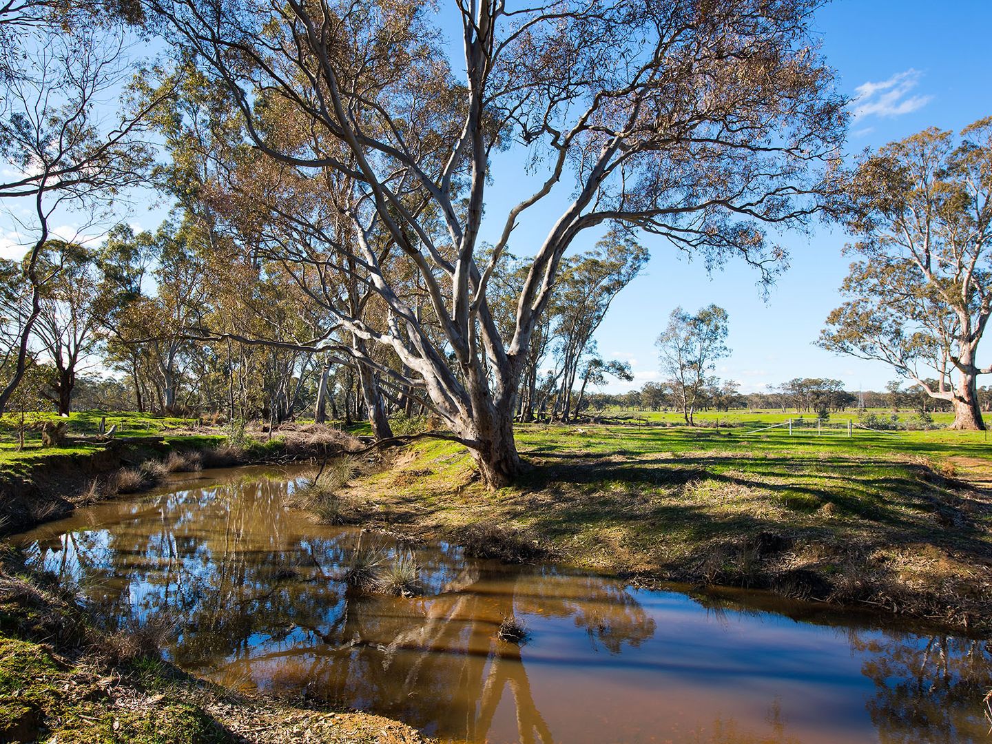 4 Muckleford-Walmer & Lewis Road, Walmer VIC 3463, Image 1