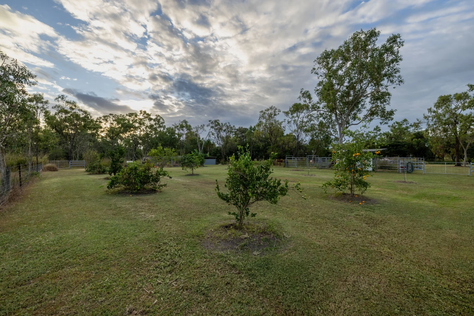 Image 38