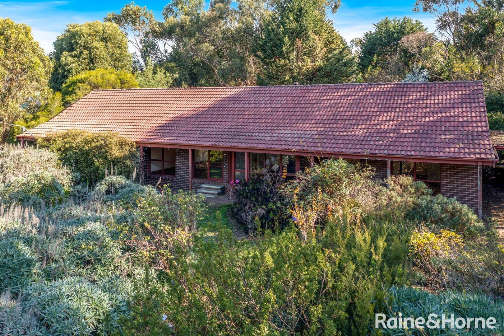 3 Desmond Crescent, Romsey VIC 3434, Image 0