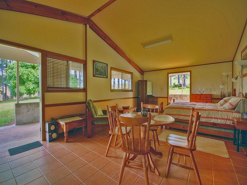 55B Johnston Road, Clunes NSW 2480 Studio For Rent Domain