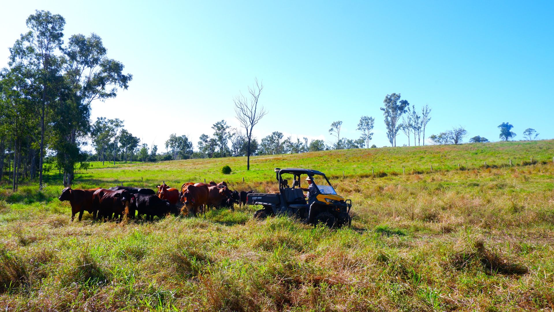 16 Nielsons Road, Good Night QLD 4671 House for Sale 800,000