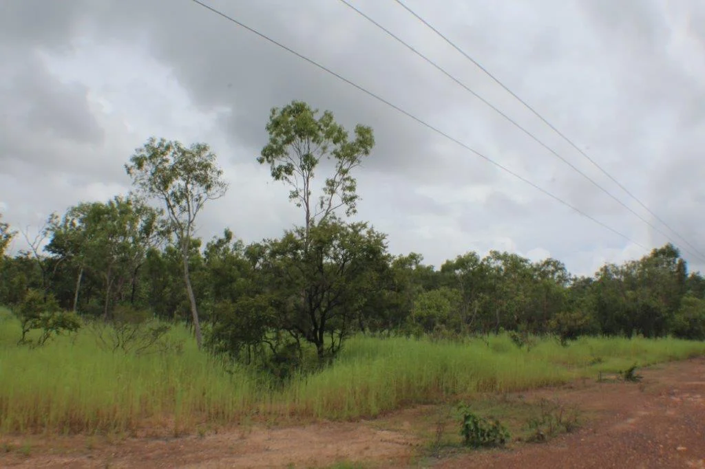 Image 6